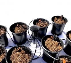 DIG 12 Plant Drip Irrigation Home Grow Kit - With Emitters