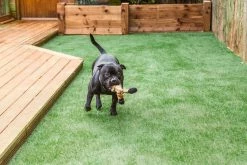 ONE STOP OUTDOOR USA MADE Synthetic Grass 6