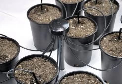 DIG DRIP IRRIGATION 6" Inch Angled Drip Emitter Stakes - Irrigation, Greenhouse, Garden, & Hydroponics - 1/8" Tubing - 16-017