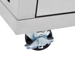 Blaze GRIDDLES BLZ-GRIDDLE-CART 30-Inch Gas Griddle On Deluxe Cart