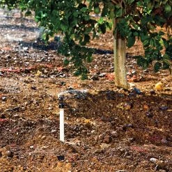 DIG Series 861 Micro Sprinkler On 1/2" FNPT Base - Garden, Greenhouse & Nursery Watering Drip Irrigation Emitter