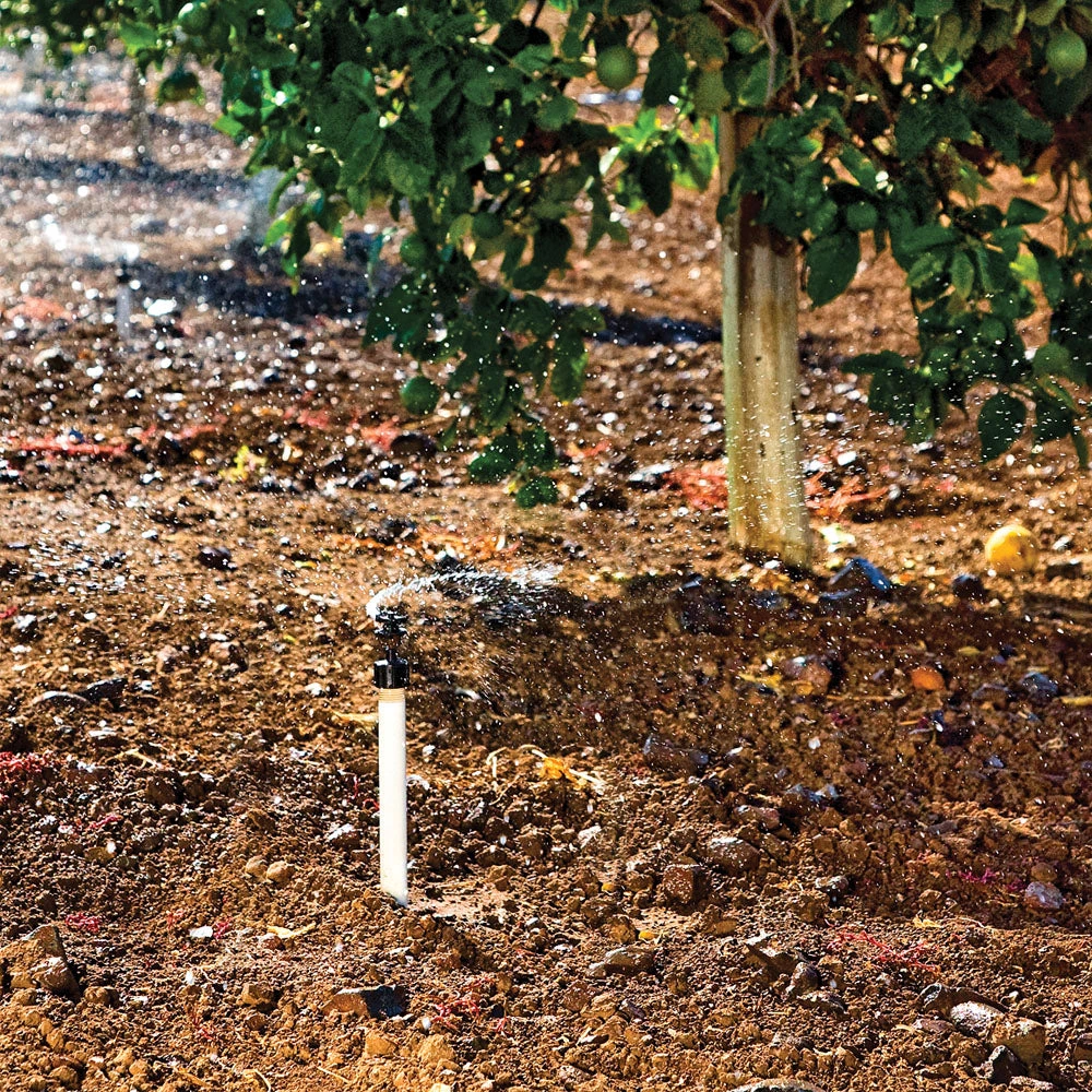 DIG Series 861 Micro Sprinkler On 1/2" FNPT Base - Garden, Greenhouse & Nursery Watering Drip Irrigation Emitter 2 DIG Series 861 Micro Sprinkler On 1/2" FNPT Base - Garden, Greenhouse & Nursery Watering Drip Irrigation Emitter