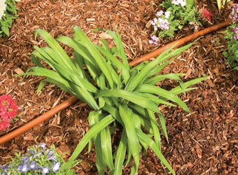 DRIP IRRIGATION DIG GD50 - Dripline Watering Kit 50' Tubing With Riser Conversion 2 DRIP IRRIGATION DIG GD50 - Dripline Watering Kit 50' Tubing With Riser Conversion