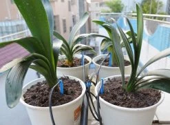 ONE STOP OUTDOOR Drip Irrigation Grow Kit, 4-Head Angled Arrow Drip Stake With Dripper, Tubing & Fitting - 0.5 GPH (2 LPH)