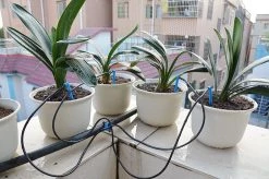 ONE STOP OUTDOOR Drip Irrigation Grow Kit, Angled Arrow Drip Stake With Tubing & Fitting - 0.5 GPH (2 LPH)