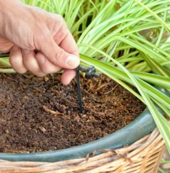 DIG (1 GPH) Single Outlet PC Drip Emitter With Barbed Inlet 06-014 (by The Unit) DRIP IRRIGATION