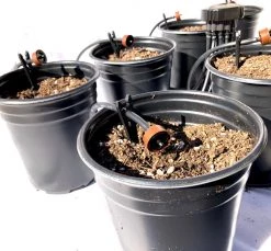 DIG 12 Plant Drip Irrigation Home Grow Kit - With Emitters