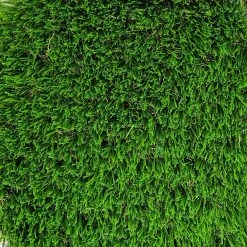ONE STOP OUTDOOR Panama - 60oz - Artificial Grass Turf Roll - Premium Synthetic Grass Lawn 5 ONE STOP OUTDOOR Panama - 60oz - Artificial Grass Turf Roll - Premium Synthetic Grass Lawn