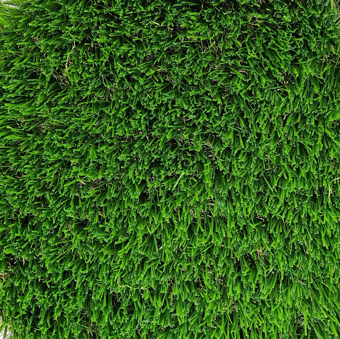 ONE STOP OUTDOOR Panama - 60oz - Artificial Grass Turf Roll - Premium Synthetic Grass Lawn 3 ONE STOP OUTDOOR Panama - 60oz - Artificial Grass Turf Roll - Premium Synthetic Grass Lawn