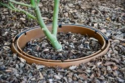 ONE STOP OUTDOOR USA Made - Edging Rounds Tree Ring - Landscape & Garden Edging / Planting Ring For Water Retention (20" Standard) Praxxis H20 Wize HW-2011 7 ONE STOP OUTDOOR USA Made - Edging Rounds Tree Ring - Landscape & Garden Edging / Planting Ring For Water Retention (20