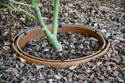 ONE STOP OUTDOOR USA Made - Edging Rounds Tree Ring - Landscape & Garden Edging / Planting Ring For Water Retention (25