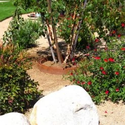 ONE STOP OUTDOOR USA Made - Edging Rounds Tree Ring - Landscape & Garden Edging / Planting Ring For Water Retention (20" Standard) Praxxis H20 Wize HW-2011