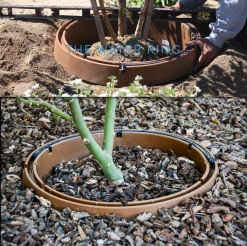 ONE STOP OUTDOOR USA Made - Edging Rounds Tree Ring (25